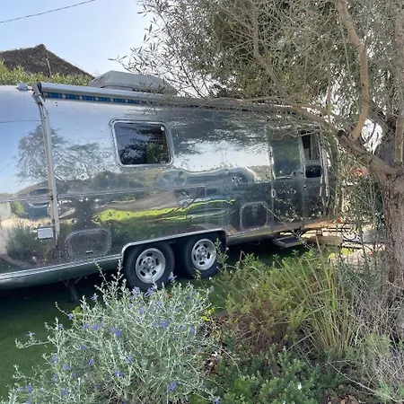 Camping Pooh’s Belle