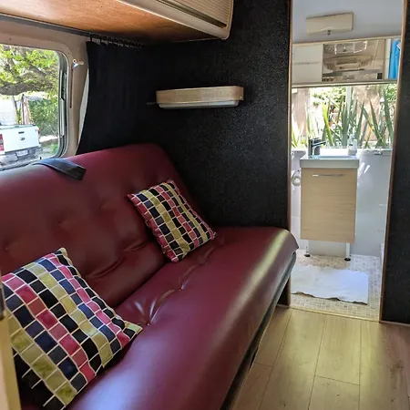 Camping Pooh’s Belle *