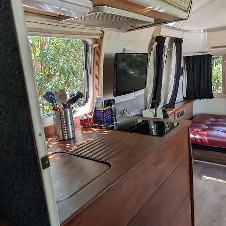 Camping Pooh's Belle