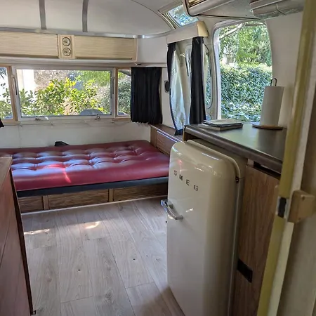 Camping Pooh's Belle *